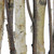 26.75" Mixed Branches in White Wood Frame Table Top Decoration - IMAGE 2