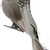 Bird with Feathers Clip-On Christmas Ornament - 9.5" - Brown and Gray - IMAGE 2