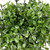 Glittered Boxwood Artificial Ball Topiary - 5" - Green and Silver - IMAGE 5