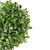 Glittered Boxwood Artificial Ball Topiary - 5" - Green and Silver - IMAGE 6