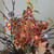 13.5" Brown Rattan with Red Berries Star Christmas Tree Topper - Clear Lights - IMAGE 3