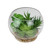 4.75" Artificial Succulent Arrangement Glass Terrarium with Pebbles - IMAGE 1