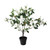32.5" White and Black Potted Artificial Lily Magnolia Flowering Tree - IMAGE 1