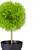 9.75" Potted Two-Tone Green Grass Ball Topiary Artificial Christmas Tree- Unlit - IMAGE 4