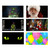 6" Black Window Display Christmas and Halloween FX Mini Projector Kit - IMAGE 3