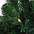 Pre-Lit Olympia Pine Commercial Artificial Christmas Wreath - 6' - Warm White Lights - IMAGE 2