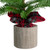 1.3' Potted Pine Medium Artificial Tabletop Christmas Tree - Unlit - IMAGE 5