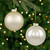 2-Finish Glass Christmas Ball Ornaments - 4" (100mm) - Champagne Gold - 4ct - IMAGE 1