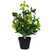 Bonsai Style Artificial Mini Apple Tree in Pot - 23" - IMAGE 3