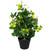 Bonsai Style Artificial Mini Apple Tree in Pot - 23" - IMAGE 5