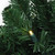 Pre-Lit Olympia Pine Artificial Christmas Garland - 27' x 14" - Warm White LED Lights - IMAGE 2