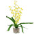 23.5" Yellow Potted Artificial Oncidium Orchid Flower Plant - IMAGE 3