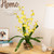 23.5" Yellow Potted Artificial Oncidium Orchid Flower Plant - IMAGE 1