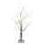 2' Pre-Lit Medium Birch Twig Artificial Christmas Tree - Clear LED Lights - IMAGE 1