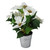 15.5" White and Green Artificial Poinsettia Flower Arrangement in Pot - IMAGE 1