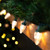 LED C7 Christmas Lights - Warm White - 16' Green Wire - 25ct - IMAGE 2