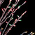 Pre-Lit Cascade Twig Tree Outdoor Christmas Decoration - 4' - Multicolor Lights - IMAGE 5