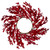 22" Festive Red Berries Artificial Christmas Wreath - Unlit - IMAGE 1
