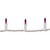 Mini Christmas Lights - Purple - 49.5' White Wire - 100ct - IMAGE 4