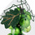 6" Green Grape Cluster in Teardrop Glass Cloche Christmas Ornament - IMAGE 6