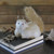 7" Gilded White with Gold Glitter Squirrel Christmas Tabletop Figurine - IMAGE 3
