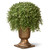 26" Potted Artificial Two-Tone Green Argentia Plant - IMAGE 1