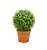 20.5" Potted Two-Tone Artificial Boxwood Ball Topiary Plant - IMAGE 1