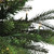 Real Touch™️Pre-Lit Slim Oregon Noble Fir Artificial Potted Christmas Tree - 6' - Warm Clear LED - IMAGE 4
