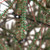 Medium Two-Tone Warsaw Twig Artificial Christmas Tree - 6' - Unlit - IMAGE 5