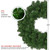 Deluxe Windsor Full Pine Artificial Christmas Wreath - 24" - Unlit