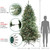 9' Pre-Lit Medium Washington Frasier Artificial Christmas Tree, Clear Lights - IMAGE 3