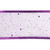 Shimmering Sequin Mesh Christmas Wired Craft Ribbon - 2.5" x 10 Yards - Purple - IMAGE 6