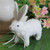 8.5” White Sisal Piglet with Easter Bunny Ears Tabletop Decor - IMAGE 3