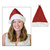 Pack of 12 Glittered Red and White Faux Fur Trimmed Christmas Santa Claus Hat Accessory - IMAGE 1