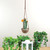 8.5" Green and Orange Hanging Potted Cactus with Flowers - IMAGE 2