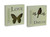 Pack of 4 Spring Mossy Butterfly and Bird Cut-Out Plaques with Tube Vase 7.75” - IMAGE 1