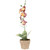 Burlap Artificial Orchids Potted Faux Plant - 14" - Crimson and Yellow TableTop Decor - IMAGE 4