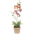 Burlap Artificial Orchids Potted Faux Plant - 14" - Crimson and Yellow TableTop Decor - IMAGE 2