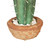 12” Green Potted Southwestern Style Artificial Cactus Plant with Flowers