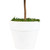 Reindeer Moss Artificial Potted Topiary Tree - 21" - IMAGE 5