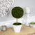 Reindeer Moss Ball  Artificial Potted Topiary Tree - 16" - Green - IMAGE 2