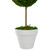 Reindeer Moss Ball  Artificial Potted Topiary Tree - 16" - Green - IMAGE 3