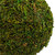 Reindeer Moss Ball  Artificial Potted Topiary Tree - 16" - Green - IMAGE 6