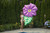 70" Inflatable Green and Pink Summer Hibiscus Flower Lounge Pool Float - IMAGE 4