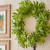 Philodendron Leaves and Twigs Artificial Tropical Wreath - 26-Inch, Unlit - IMAGE 3