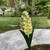 42" Yellow and Orange Mallow Solar Lighted Flower Outdoor Decoration - IMAGE 3