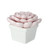 3.25" Pastel Pink Contemporary Potted Ceramic Succulent Plant - IMAGE 2