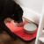 18" Red and Black Striped Pattern Decorative Pet Mat With Piping Edges - IMAGE 3