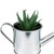 Artificial Mini Aloe Vera Succulent Plant with Watering Can - 6" - IMAGE 6