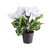 12" Potted White Cyclamen Artificial Floral Arrangement - IMAGE 3